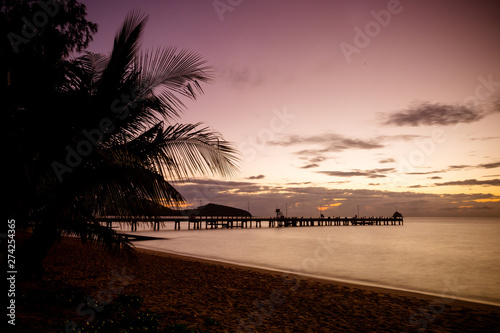 Palm Cove Sunrise