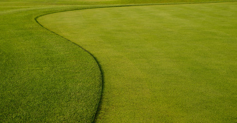 background of green grass