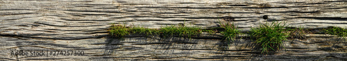 old wood texture and green grass background
