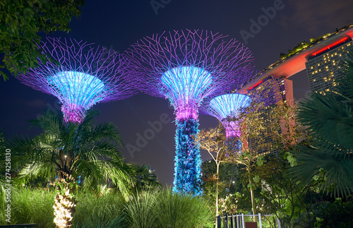 Gardens by the Bay at night in Singapore