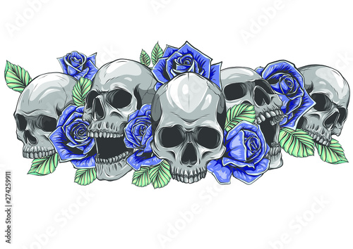 A human skulls with roses on white background