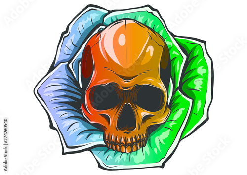 A human skulls with roses on white background