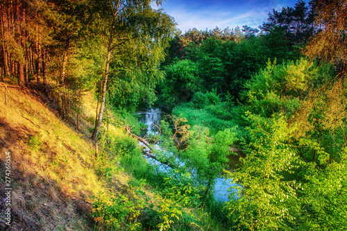 Mysterious River Grabia in spring day, Poland photo