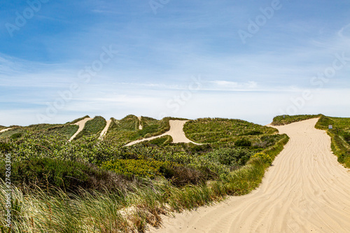 Pathways through sand dunes at Oregon Dunes National Recreation Area, on a summers day photo