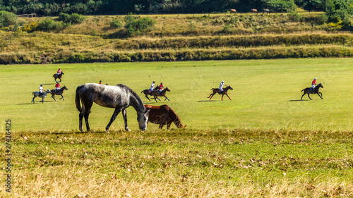 Horses Polo Players Field Landscape