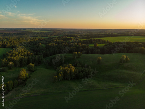 Top aerial view of green fi...