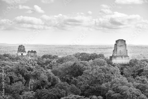 Tikal National Park Guatemala Black and White