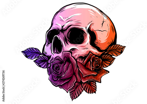 A human skulls with roses on white background