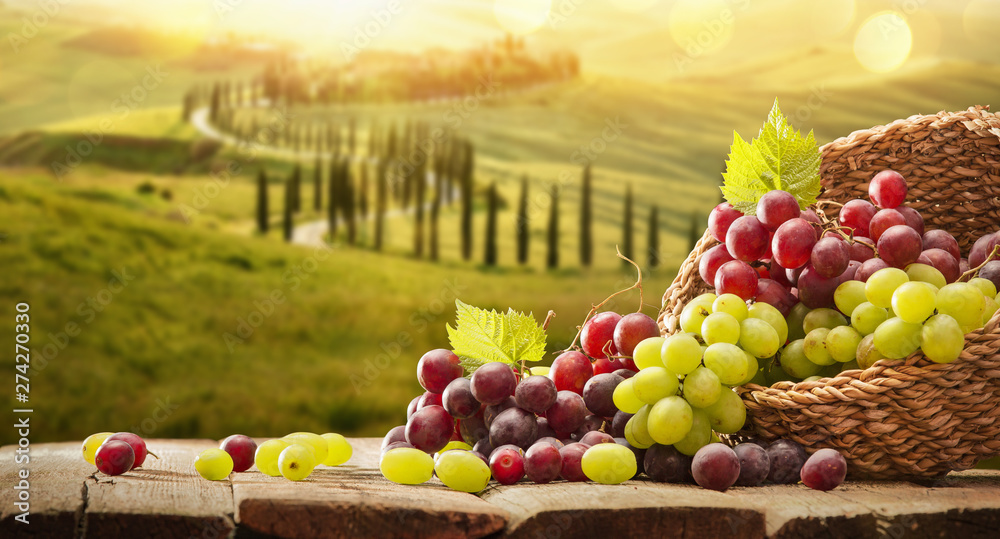 Grapes In A Basket On A Wooden Background. Harvesting - obrazy, fototapety, plakaty 
