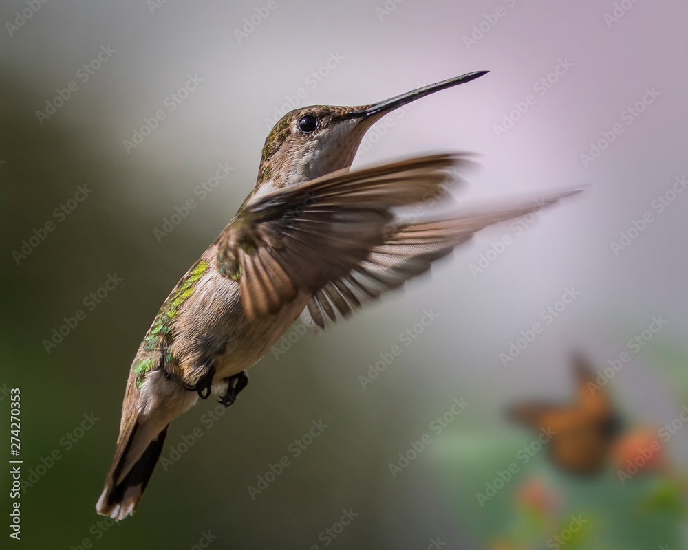 Fototapeta premium All In the Details