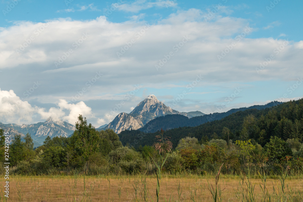 Obraz premium Forest with Mountain in the Background