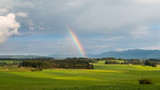 Rainbow on a Field