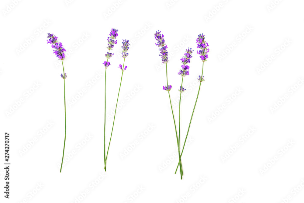 Fototapeta Lavender flowers pattern isolated on white background. Flat lay, top view, copy space. Selective focus.