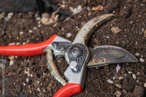 Red secateurs (pruning shears or pruner) on the ground closeup - Image