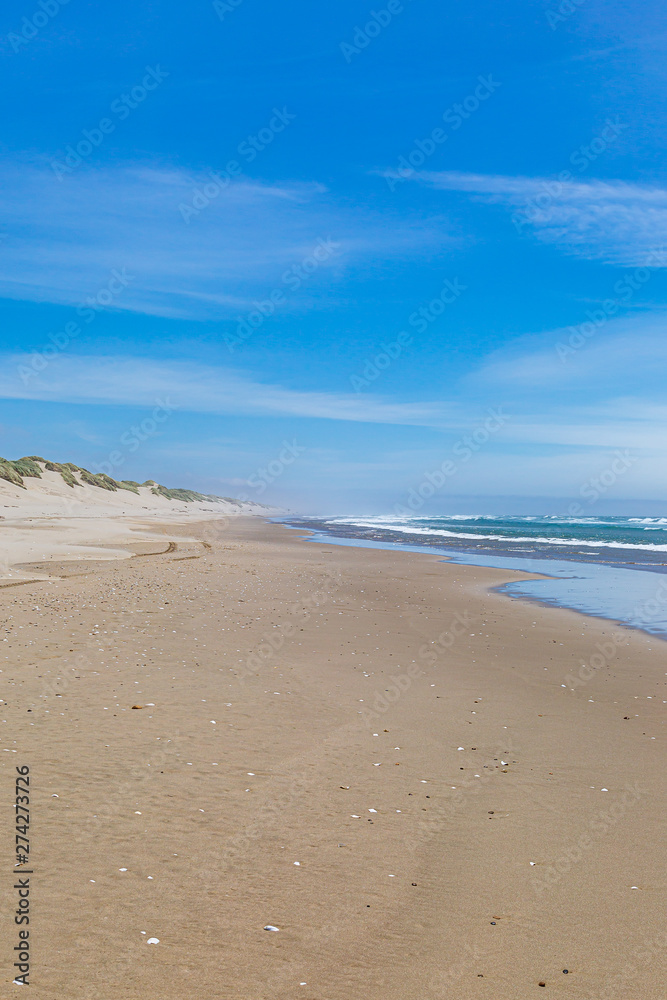 A sandy beach on the Oregon coast, on a sunny summers day