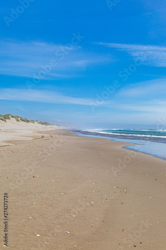 A sandy beach on the Oregon coast  on a sunny summers day
