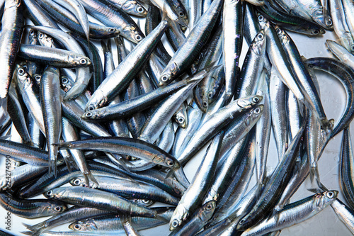 Fischmarkt in Catania. Sizilien. Italien photo