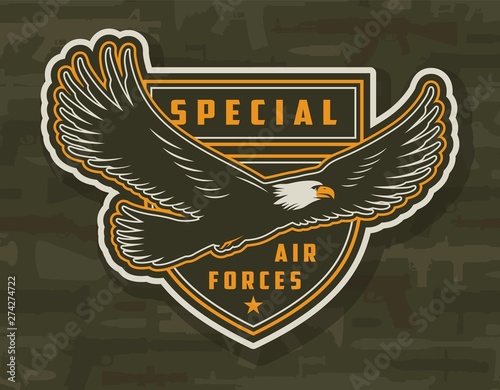 Vintage colorful army patch