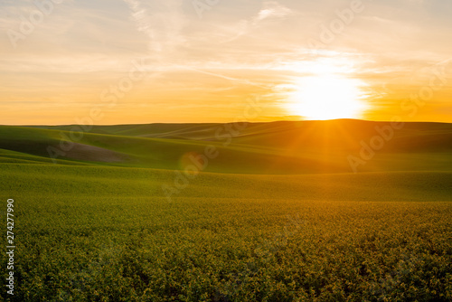 Fototapeta Naklejka Na Ścianę i Meble -  Summer Sunset