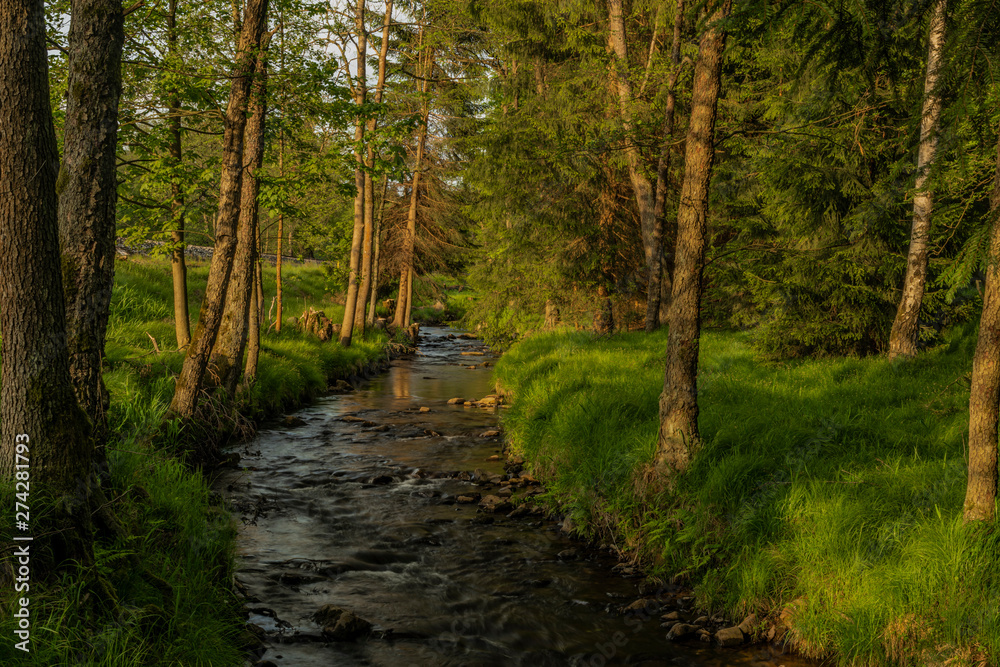 River Kamenice in color nice sunny spring evening River Kamenice in color nice sunny spring evening