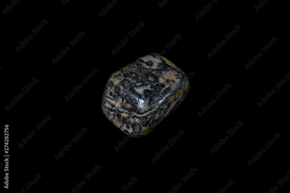 Leopard Jasper Mineral on Black