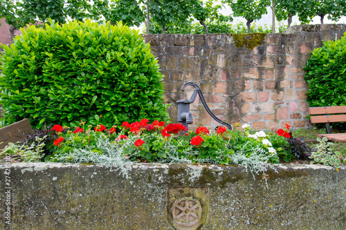 Brunnen in Rodern im Elsass photo