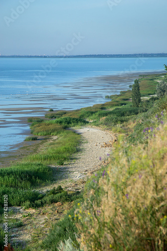 coast of the Azov Sea in southern Russia