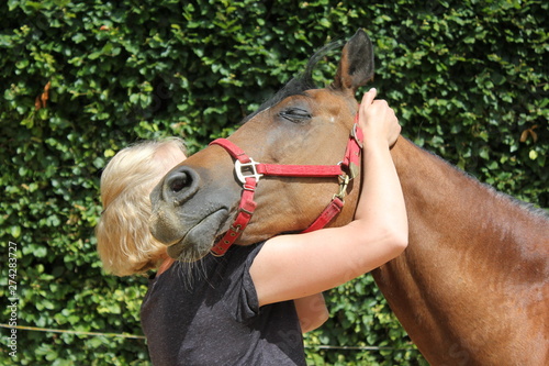 Bilde på lerret physical therapy for horse, Exercise and regeneration for horses, woman is worki