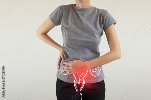 Vászonkép Female Reproductive System Anatomy