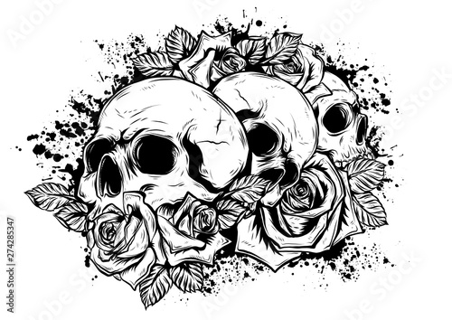 A human skulls with roses on white background