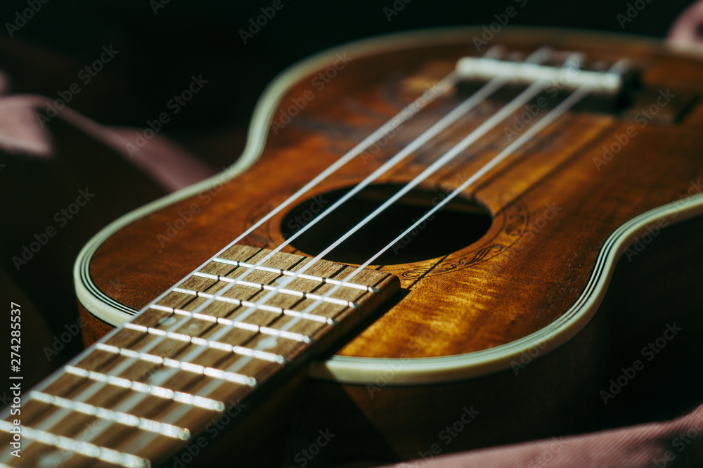Obraz premium Ukulele closeup.