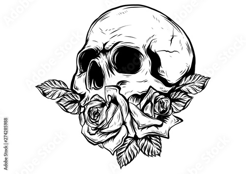 A human skulls with roses on white background