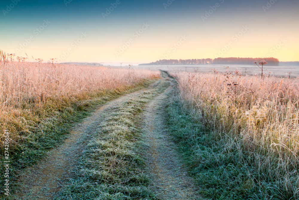 Naklejka premium road in the field