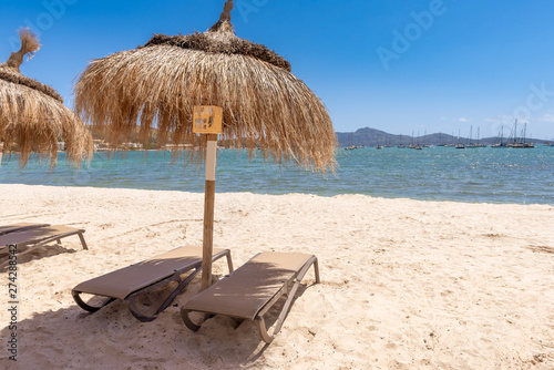 Straw umbrellas with sunbeds on the sandy beach in beautiful Port de Pollenca (Puerto Pollensa). Mallorca. Spain photo