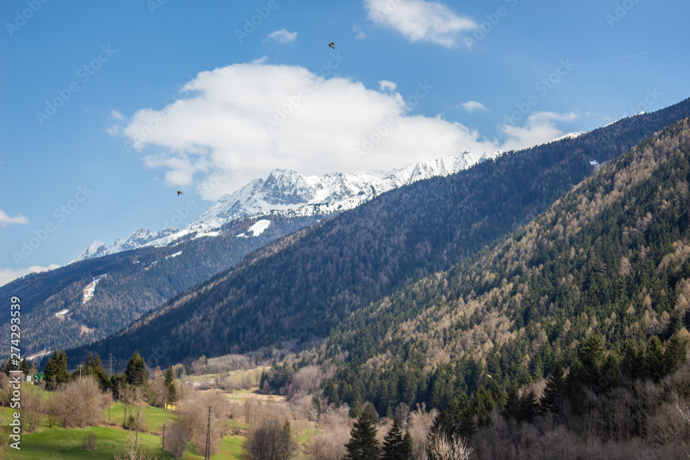 Alpine View from Val Camonica