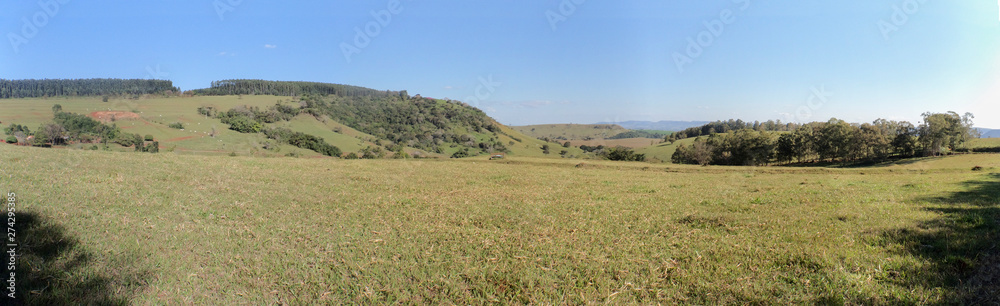 Fundo panoramico com vales, colinas e relva verde
