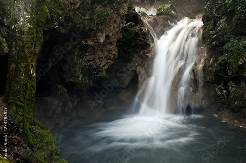 Small waterfall surrounded by moss and ferns