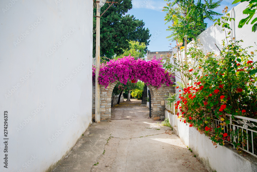 Fototapeta premium Traditional Aegean style white houses, colorful streets and bougainvillea flowers in Bodrum city of Turkey. White colored architecture in Bodrum town Turkey.