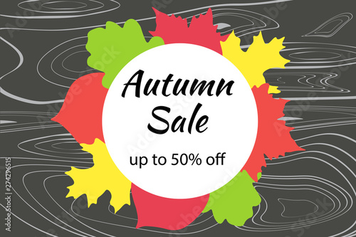 Autumn backgrounds for sale. Red-yellow leaves on a woody texture. Flat template for social card, poster, banner, media stories with text on white round.