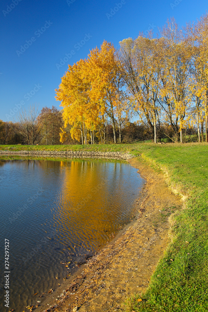 Fototapeta premium Colorful autumn nature at pond. Czech republic