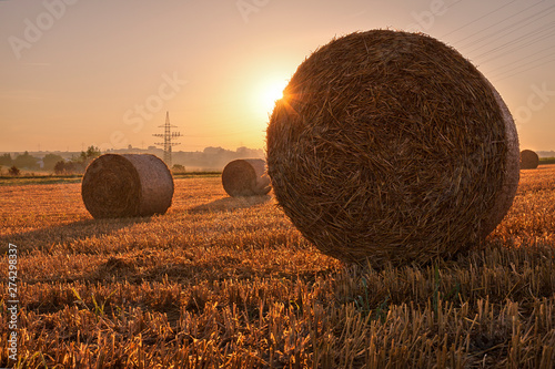Fields, Ditzingen, Germany: Bales of straw on a field in the early morning light.