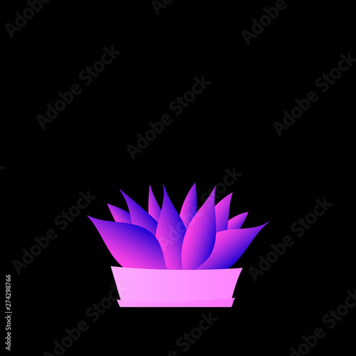 Flat plant. Indoor. Flower pots. Leaves. Foliage. Trendy vector collection. Potted plant. Garden. Jungle. Flat design. Gradient colors. Outdoor. Tropical.