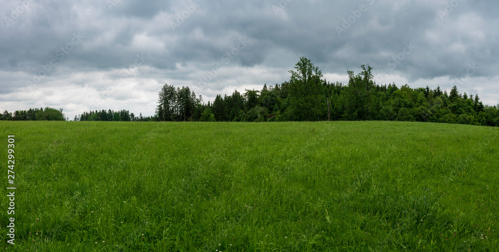 Wiese Panorama Wiese Panorama