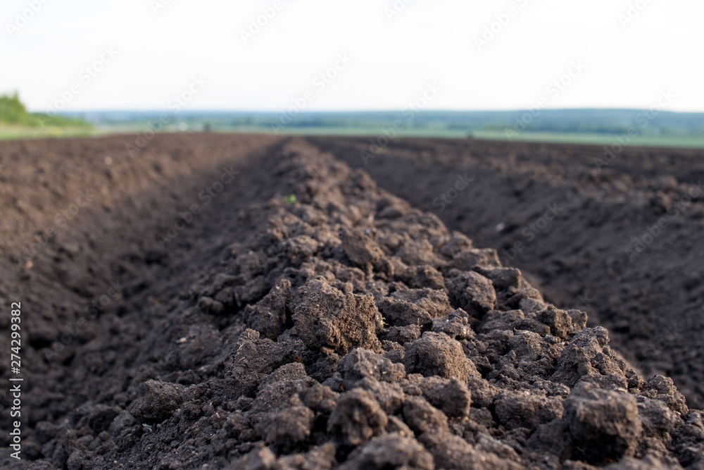Land in the field, plowed, beds ready for planting