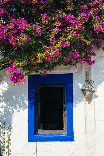 Traditional Aegean style white houses, colorful streets and bougainvillea flowers in Bodrum city of Turkey. White colored architecture in Bodrum town Turkey.