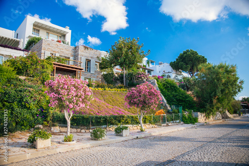 Fototapeta Naklejka Na Ścianę i Meble -  Traditional Aegean style white houses, colorful streets and bougainvillea flowers in Bodrum city of Turkey. White colored architecture in Bodrum town Turkey.