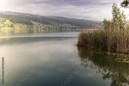 Baldeggersee photo