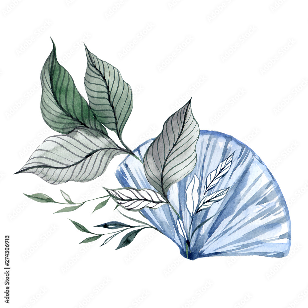 Obraz premium Watercolor collection with hand draw sea shells and leaves, isolated on white background