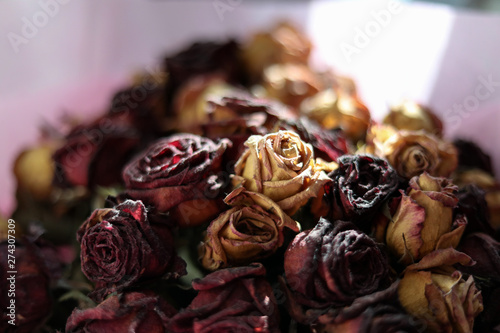 Dried Rosebuds