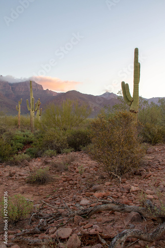 The Superstition Mountains of Arizona in morning light with Saguaro cactus and clouds. © Jason Yoder